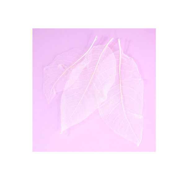 lisciedozdobien10