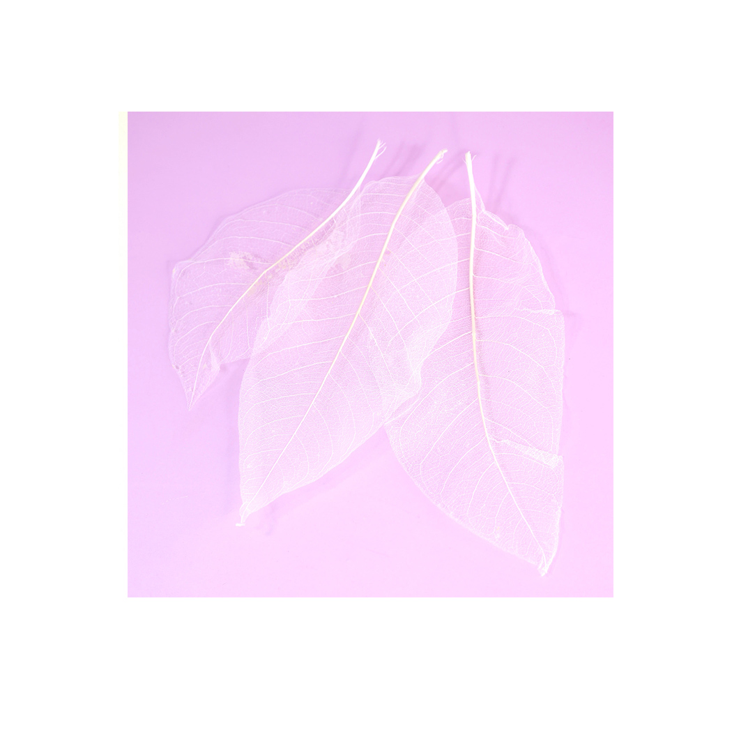 lisciedozdobien10